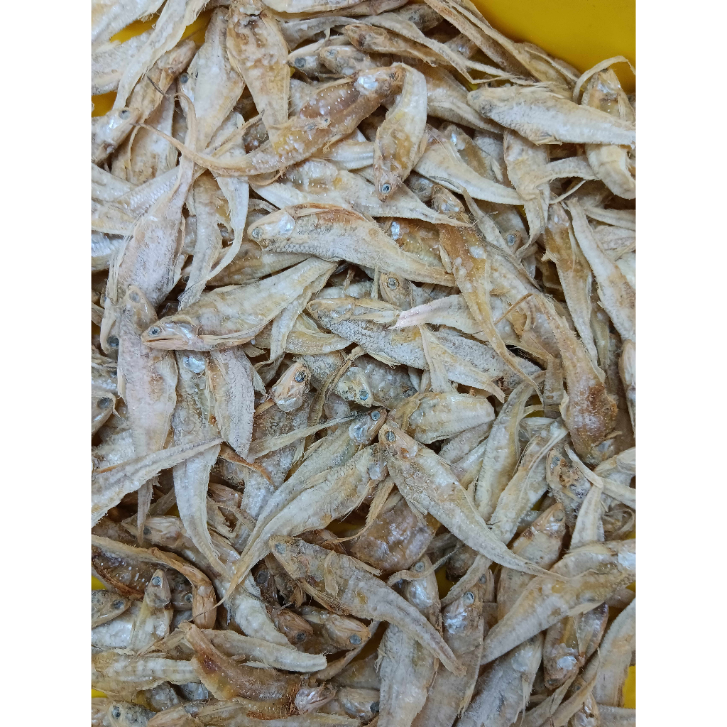 IKAN MASIN BULU AYAM BORONG 500G/1KG | Shopee Malaysia