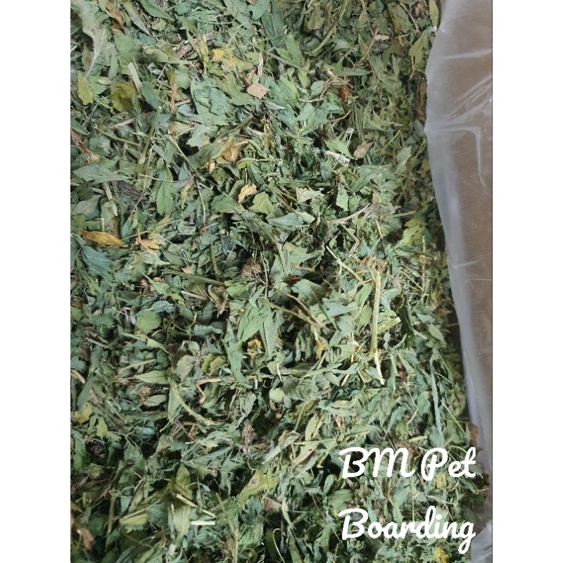 air dried alfalfa 1kg (full leaves / with soft stems) Shopee Malaysia