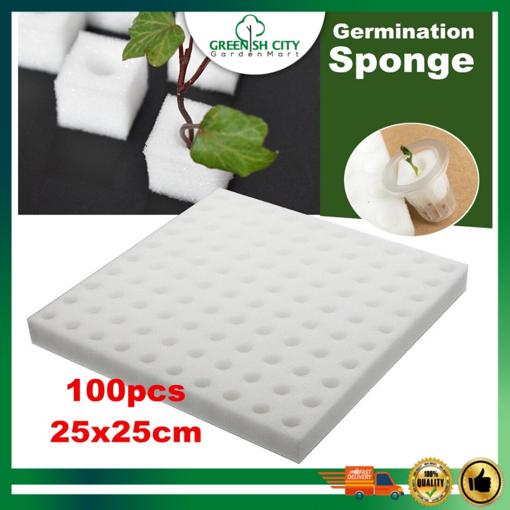 GNC 100 Cubes Hydroponic Sponge Germination Sponge Semai Benih ...