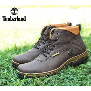 Kasut on sale hiking timberland