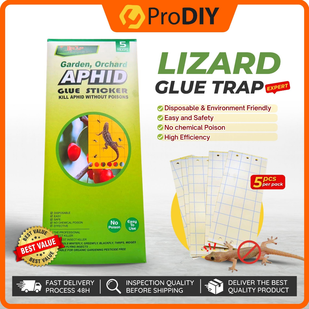 Lizard Aphid Gecko Strong Adhesive Sticky Glue Trap Boards for Pest Control Lizard  Trap Buku Pelekat Perangkap Cicak
