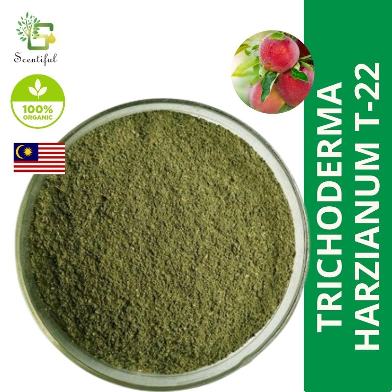 Organik Trichoderma Harzianum / Racun Kulat Organik Fungicide Tricho ...