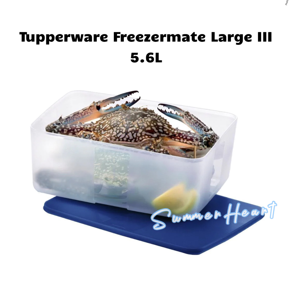 Tupperware Freezermate Large III 5.6L -1PC | Shopee Malaysia