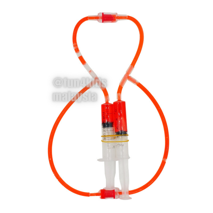 STEM Kits Blood Circulation System | Shopee Malaysia