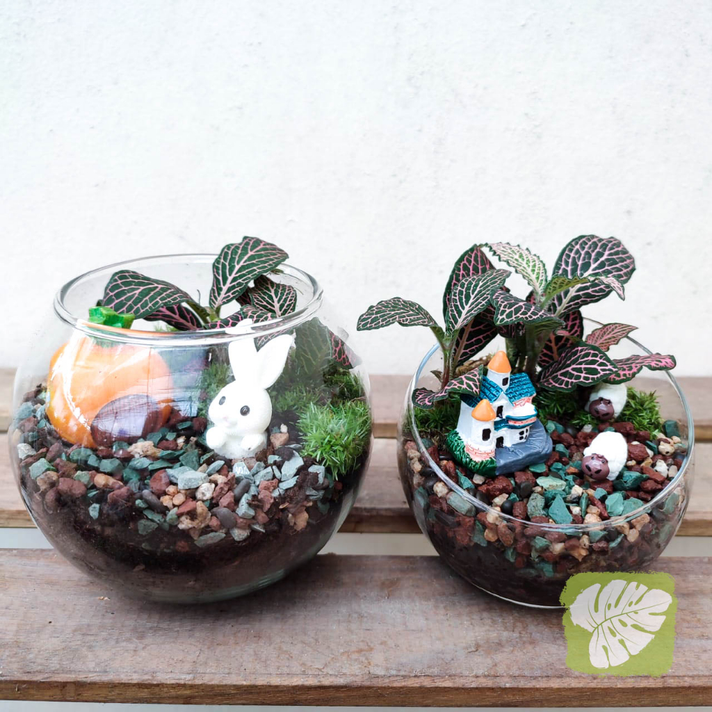 Terrarium DIY KIT Mini Garden 微景观 迷你森林 迷你花园 DIY IOB | Shopee Malaysia