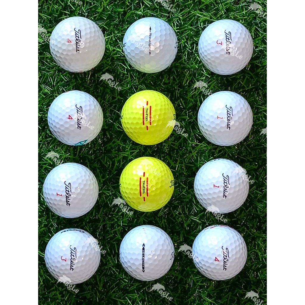 (Grade A 12 Pcs)Titleist Used Golf Ball Shopee Malaysia