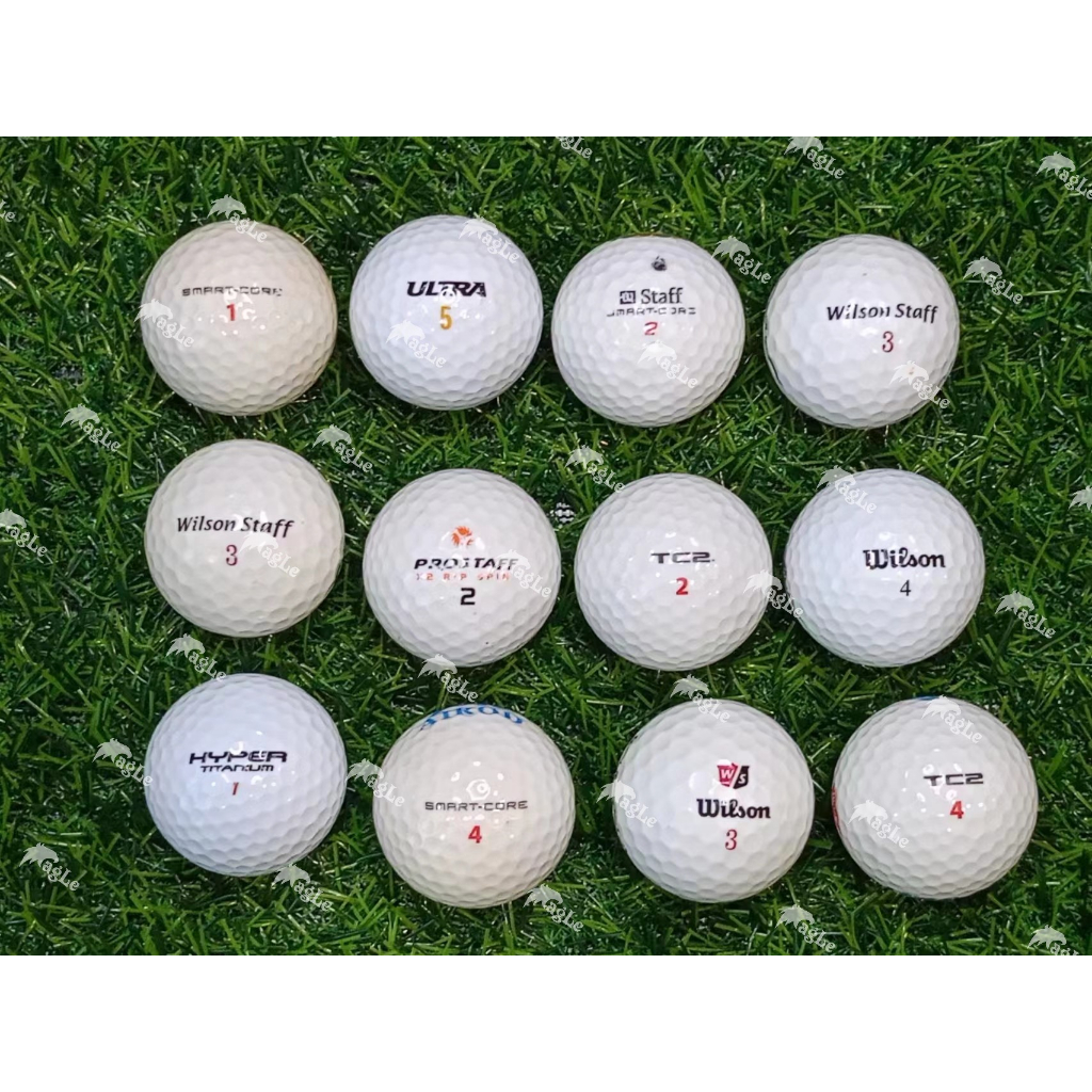 (Grade B 12 Pcs)Wilson Used Golf Ball Shopee Malaysia
