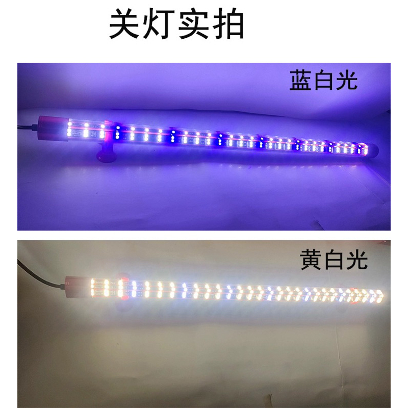 5D Arowana Tanning Display Led Light Yellow White & Blue white龙鱼5D诱色神灯 ...