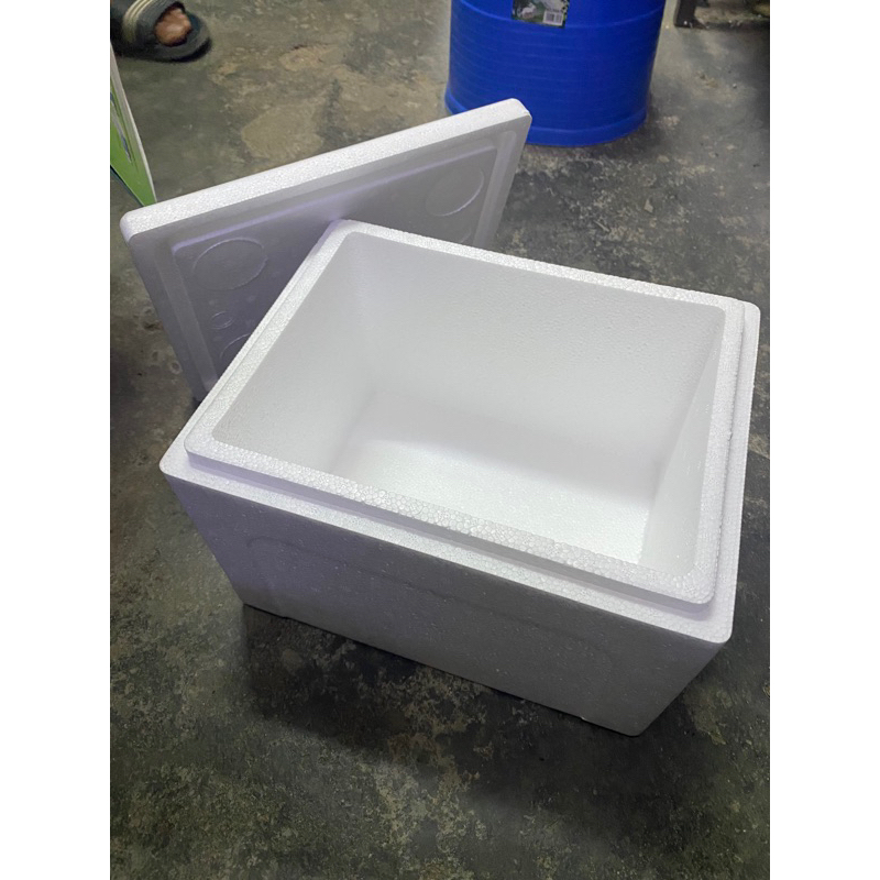 ICE BOX/KOTAK POLISTERIN FROZEN SAIZ ‘S’ & ICE KIUB Shopee Malaysia