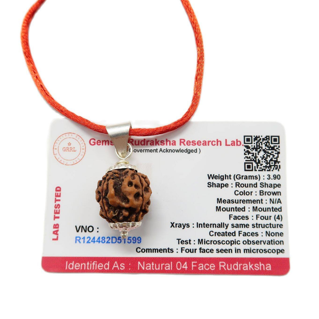 4 Mukhi (4 Face Rudraksha) Lab Certified Original Rudraksha Bead with ...