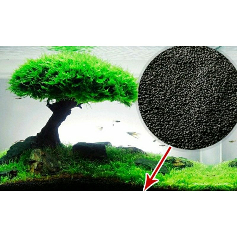 Aqua soil Aquatic Plant 💚 1 kg Best Price Shopee Malaysia