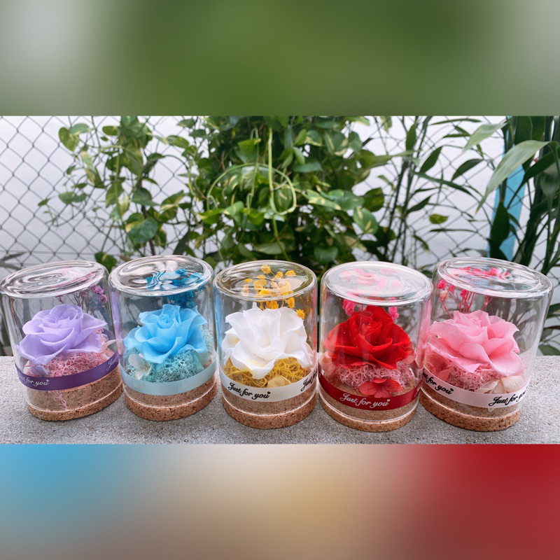 BUNGA KERING DRY DRIED FLOWER Flower Dry dried flower rose in glass ...