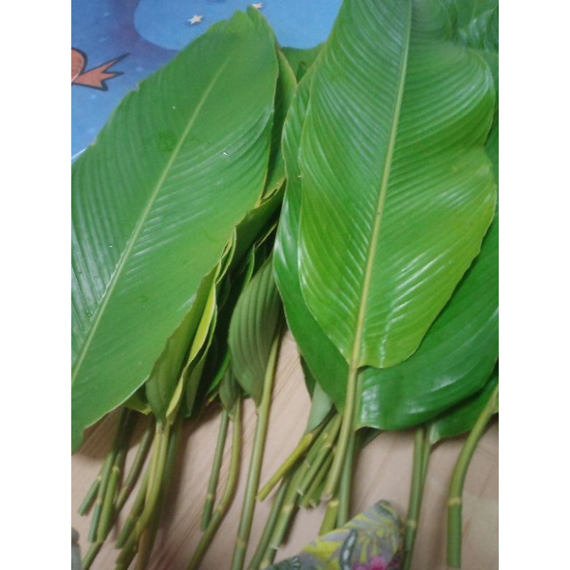 OFFER☑️☑️Daun lerek/lirik daun utk buat lemang,(1 pack 10 helai ...