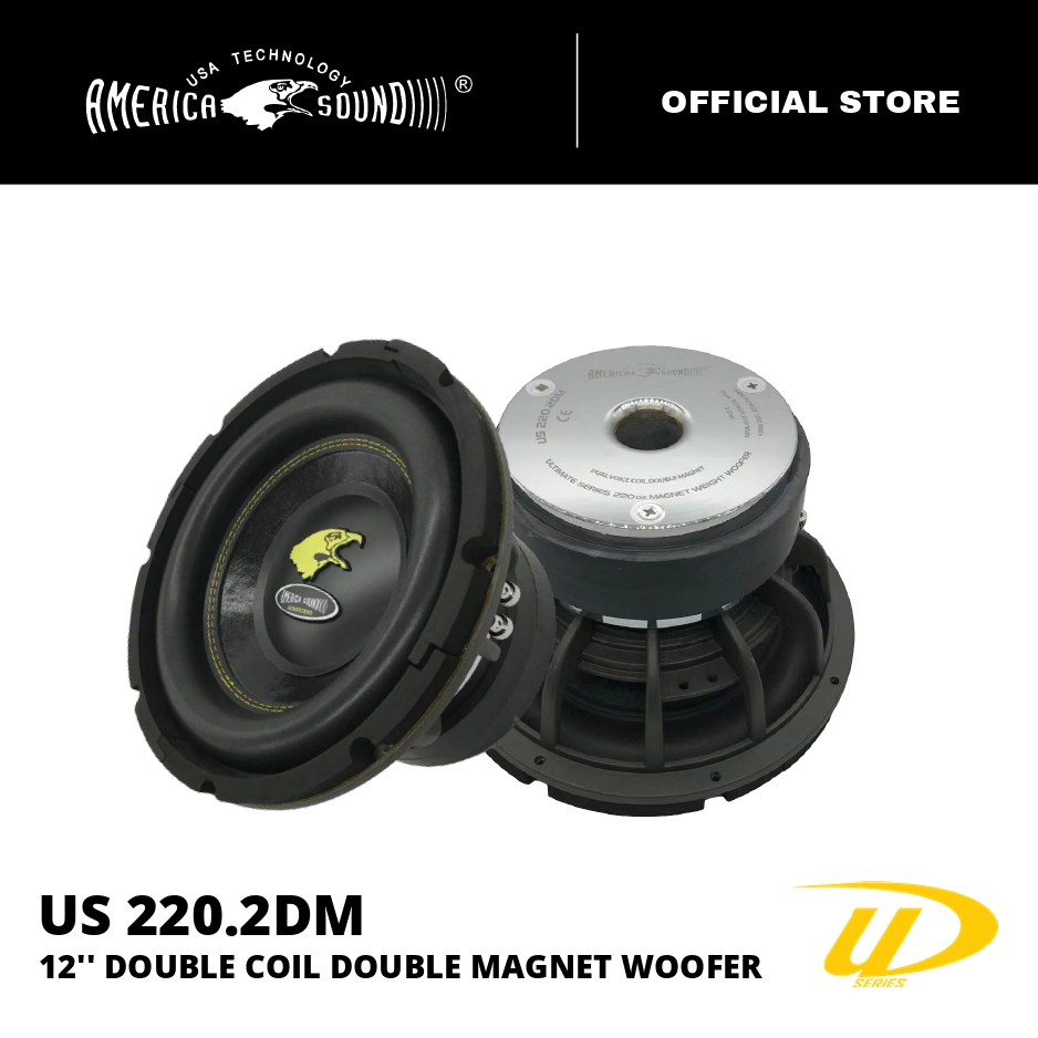 Subwoofer double store coil double magnet