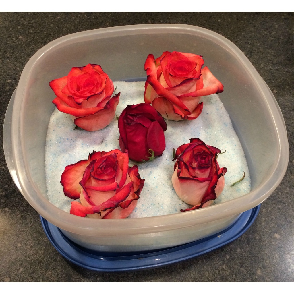 Silica Gel Flower Preservation Kit for DIY Crafts Keep Flowers Dry