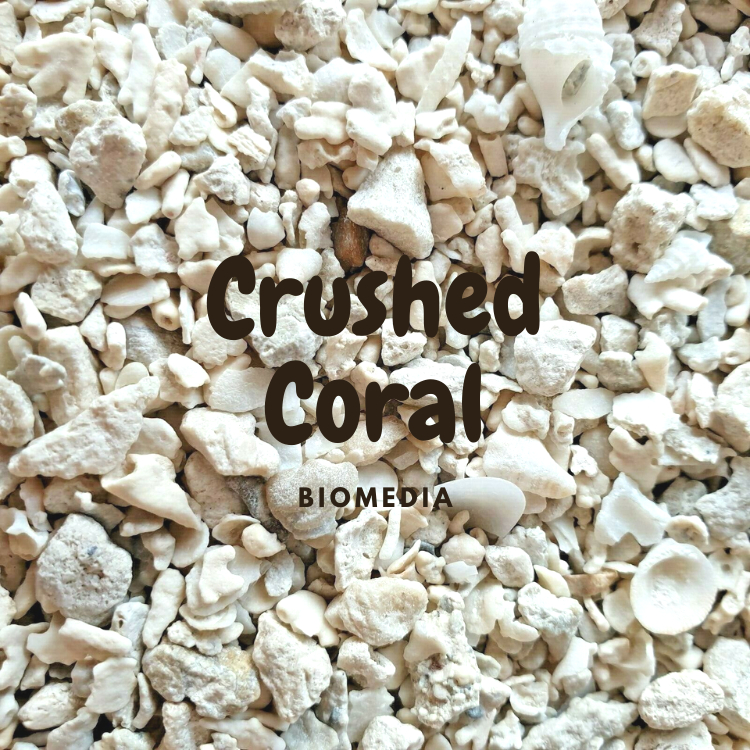 [Aqua Nature] Grade A Crushed Coral Perfect Aquascaping Filter Media