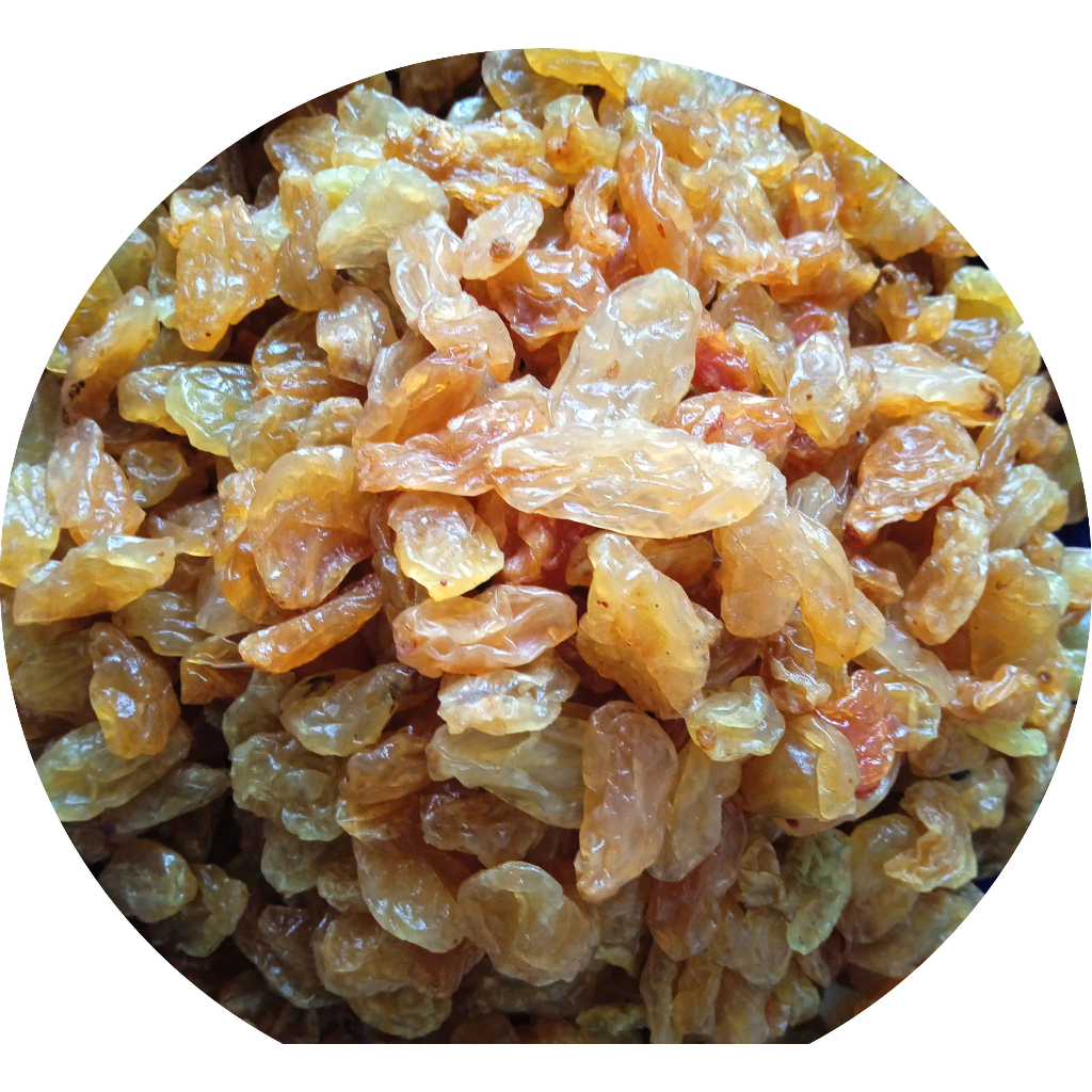 GOLDEN JUMBO RAISIN KISMIS GOLDEN JUMBO (500G/1KG) Shopee Malaysia