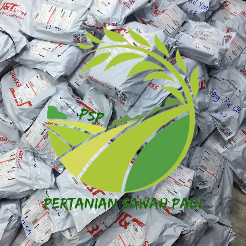 1L CY787 Baja Foliar Pengalak Pertumbuhan Berkesan Hi-Tech Plant Growth ...