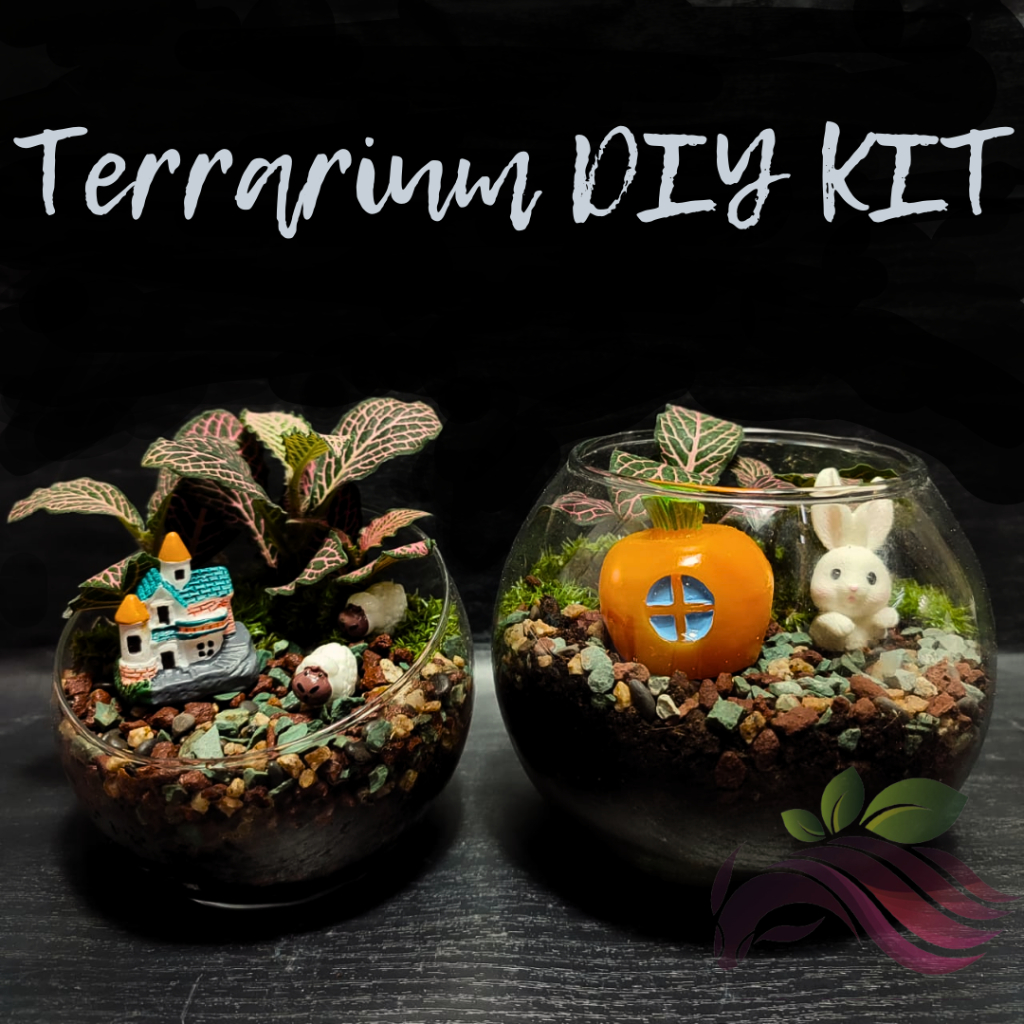 Terrarium DIY KIT Mini Garden 微景观 迷你森林 迷你花园 DIY by LS Group | Shopee ...