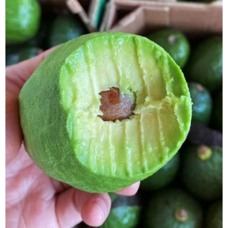 Sarawak Local Avocado Jumbo big size Salad Creamy Smooth Berlemak ...