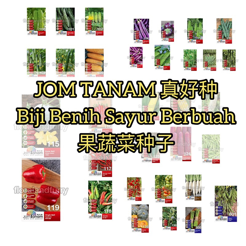 Jom Tanam Biji Benih Pelbagai Sayur Sayuran Berbuah Jagung Terung Timun ...