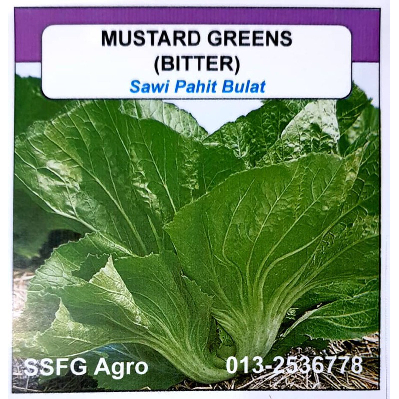 BENIH SAWI PAHIT BULAT MUSTARD GREENS (5 GRAMS) Shopee Malaysia