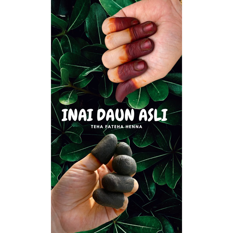 PASTE INAI POKOK 🔥INAI DAUN HALAL DAN SAH WUDUK 100% ORGANIK (AIR LIMAU ...