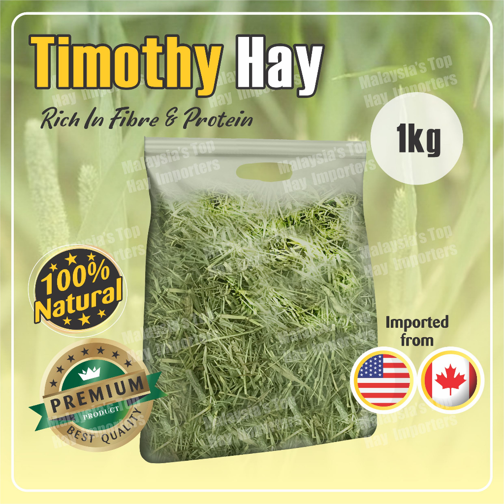Dust Free Premium filtered Timothy / Alfalfa / Orchard imported hay 1kg ...