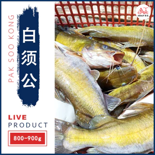 Asealot Aquaculture, Online Shop | Shopee Malaysia