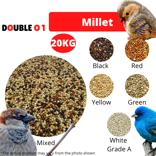 20kg) Mixed Millet Seed Bird Feed / Yellow Millet / Sekoi Campur