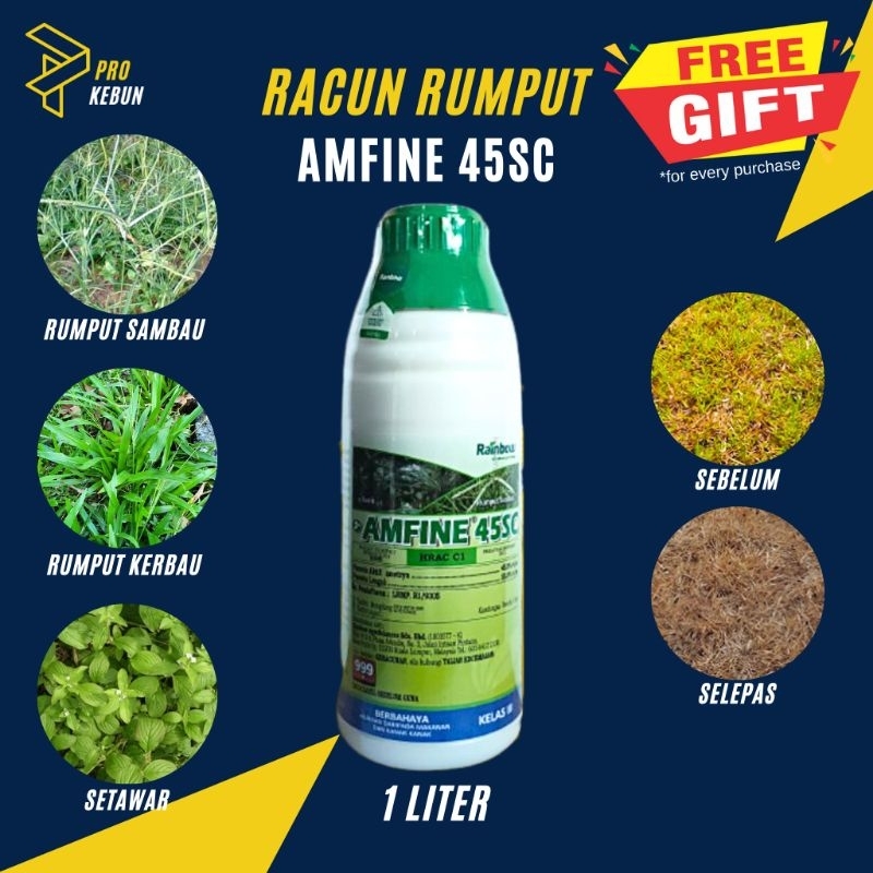 Amfine 45sc Racun Rumput Sambau Racun Rumput Kerbau Setawar Akar Ruas