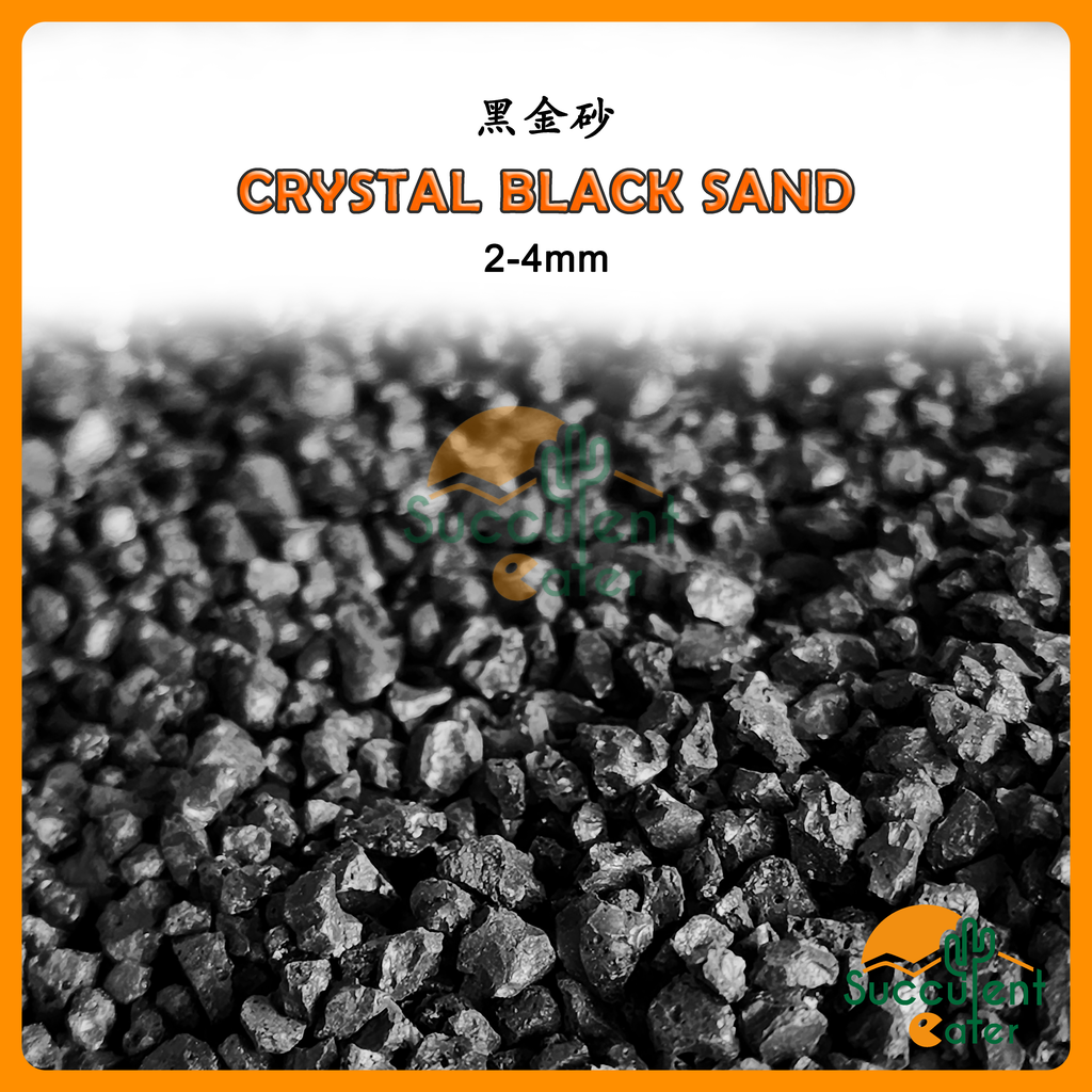 Crystal Black Sand for Aquarium Gardening Art Photography Background