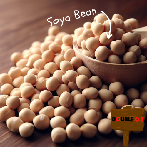 Canada Soya Bean Kacang Soya Kanada Soybean 加拿大黄豆 (250g/1kg