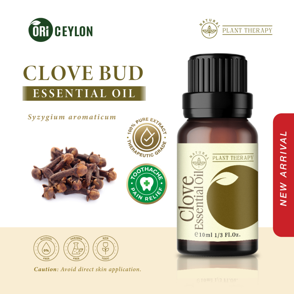 Pure Clove Essential Oil Therapeutic Grade Gums, Toothache, Skin