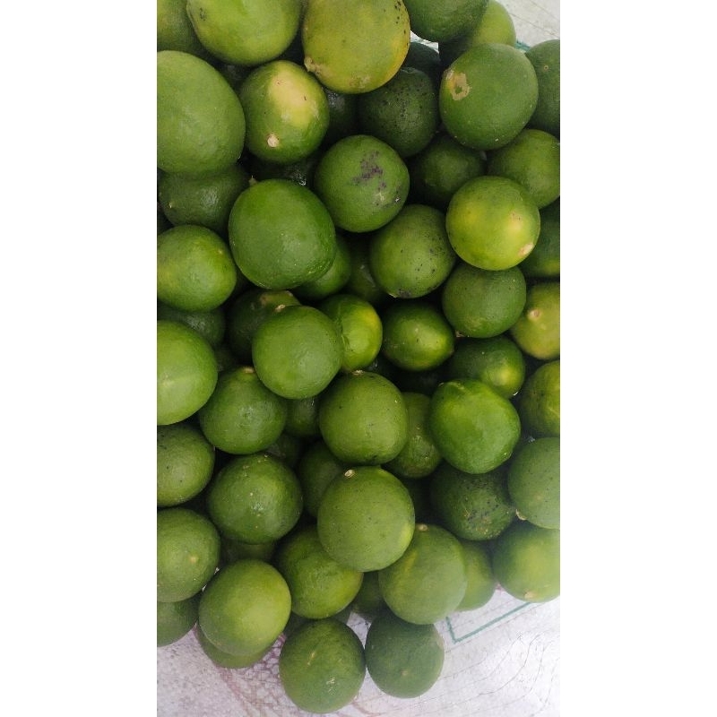 LIMAU NIPIS SEGAR DARI LADANG 1KG | Shopee Malaysia