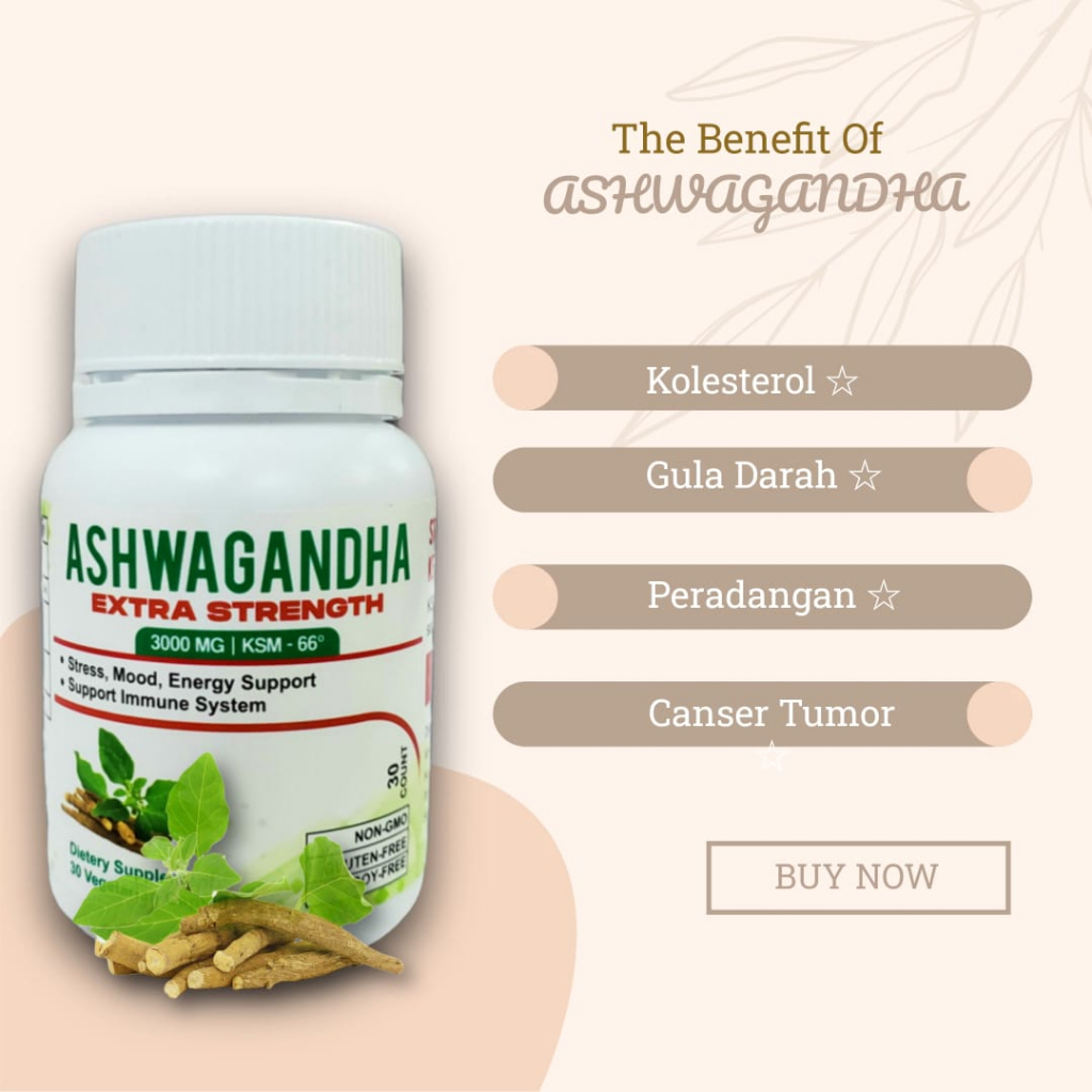 Himalaya Organic Ashwagandha Ashwagandha 500mg Pure KSM66® 90 Vegecaps High Potency Organic India Ashwagandha - View #2