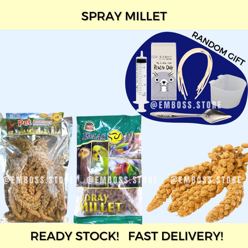 🔥SPRAY MILLET 100 ORIGINAL🔥White Spray Millet Red Spray Millet Spray
