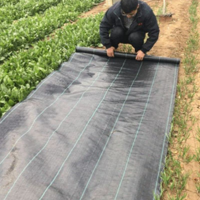 1m/1.2m/2m/3m 70 OR 90 GSM WEED CONTROL WEEDMAT (PER METER) / WEEDMAT PENCEGAH RUMPAI LANSKAP