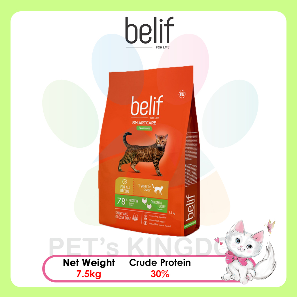 Belif cat food best sale