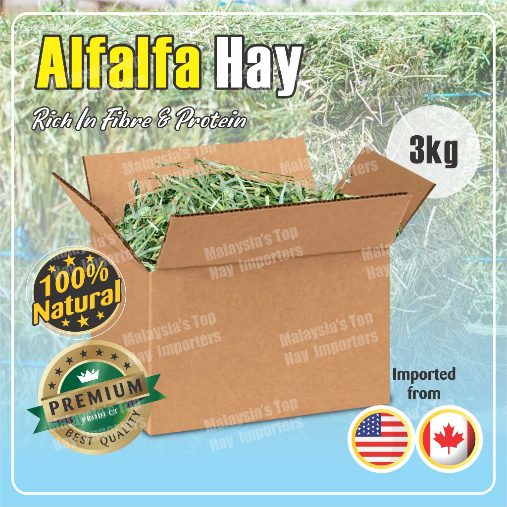 Dust Free Premium filtered imported hay Timothy/ Alfalfa / Orchard Hay ...