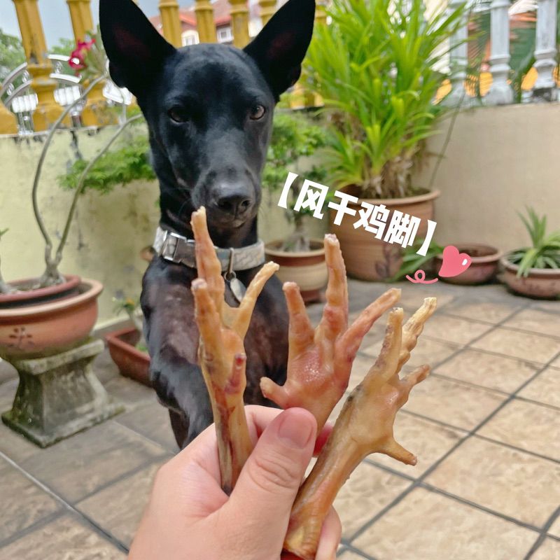 [低温风干鸡脚] Low Temperature Dehydrated Chicken Feet Shopee Malaysia
