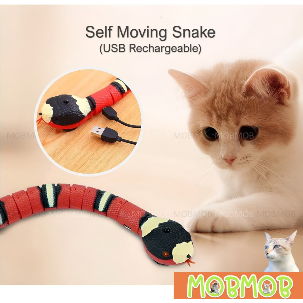 Toy cat that store moves