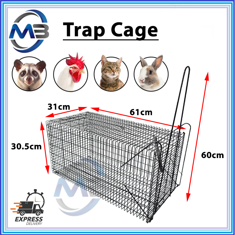 Heavy Duty Big Cage/ Perangkap Musang / Monkey Fox Squirrel Cat Trap
