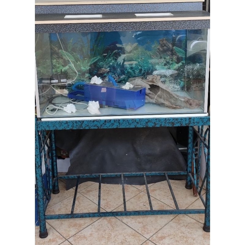 Aquarium Tank Glass Fish Tank Akuarium Kaca Satu Set Second Hand