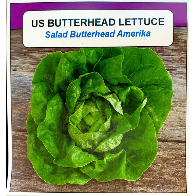 BENIH SALAD BUTTERHEAD US BUTTERHEAD LETTUCE (.8 gram >