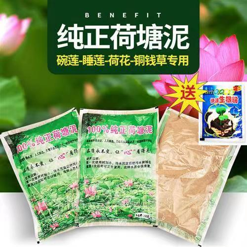 Natural Lotus Pond Mud Bowl Lotus aquatic plant Nutrient Soil Pond Mud