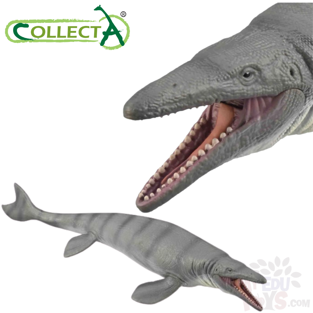 Mosasaurus with Movable Jaw Deluxe 1:40 Scale - Collecta 88975 ...