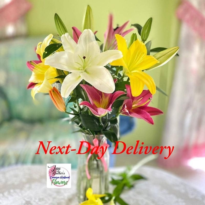 [Nextday Delivery] LB Assorted Lilies (10 Stalks). Cameron Highlands