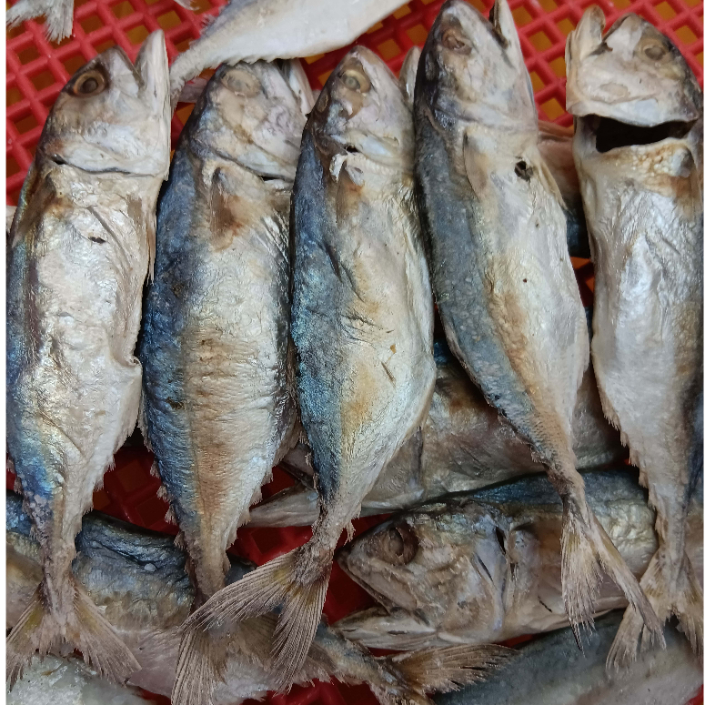 Ikan Masin Kembong Borong 500g 1kg Shopee Malaysia