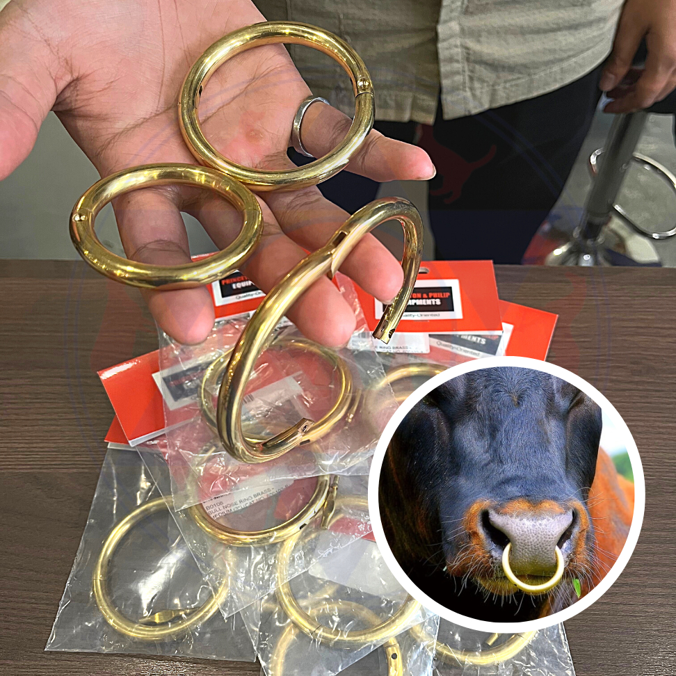 Bull nose ring Gelang hidung lembu loyang Brass bull ring Tahan karat Shopee Malaysia
